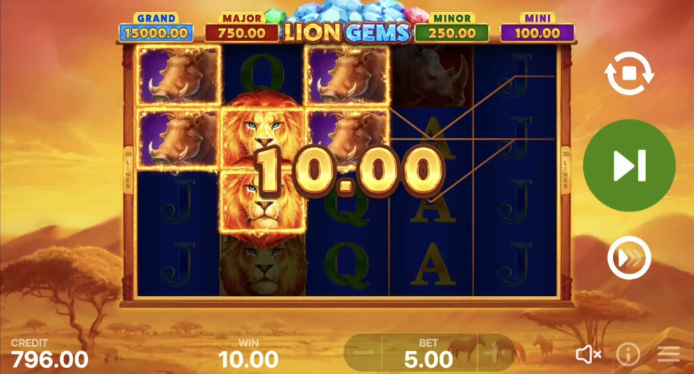 Lion Gems: Hold and Win